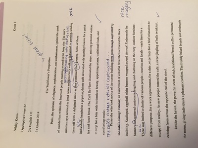 help on writing a descriptive essay